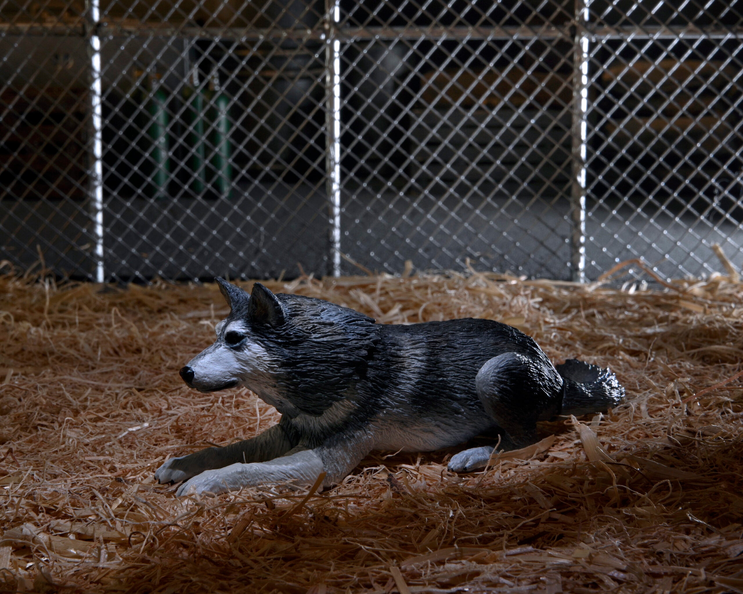 The Thing - Ultimate Dog Creature Set