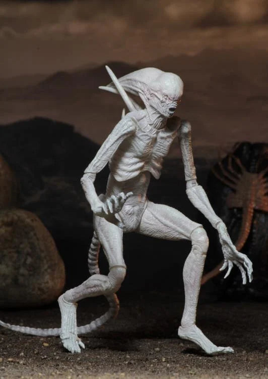 Alien: Covenant - Neomorph