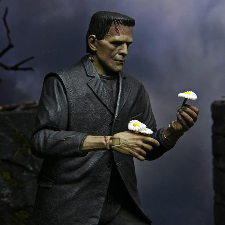 Frankenstein's Monster (Color) NECA Ultimate 7" Scale Figure