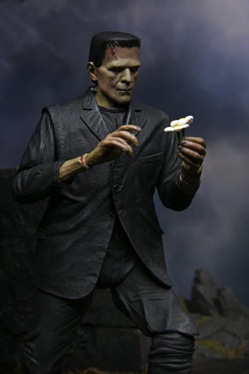 Frankenstein's Monster (Color) NECA Ultimate 7" Scale Figure