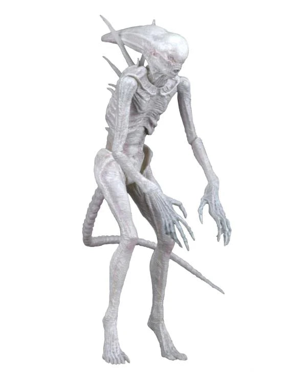 Alien: Covenant - Neomorph