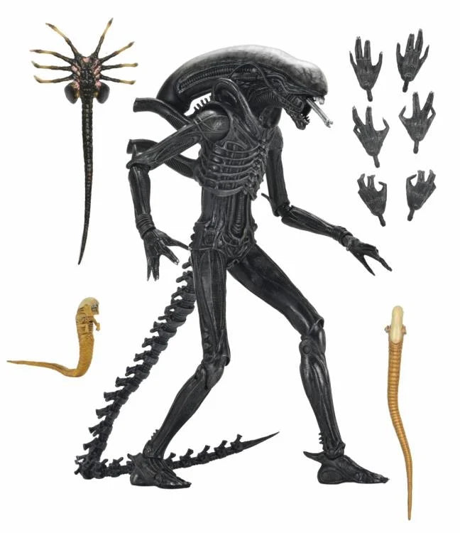 Alien: Romulus NECA Ultimate Xenomorph XX121 Action Figure