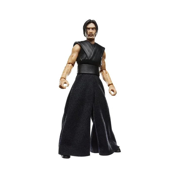 The Stranger (The Acolyte) Star Wars: The Black Series Action Figure