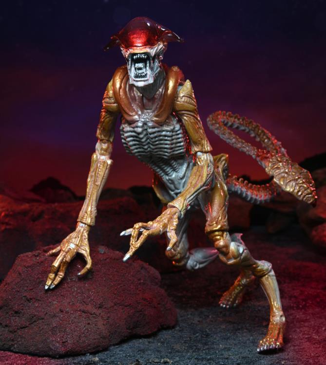 Aliens Kenner Tribute - Panther Alien