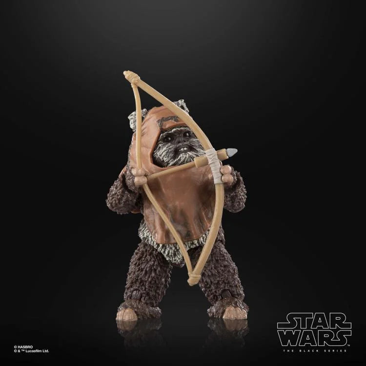 Star Wars: The Black Series - Wicket W. Warrick (Return of the Jedi)