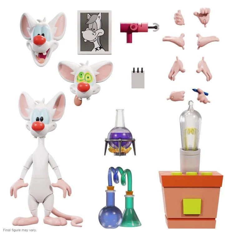 Animaniacs ULTIMATES! - Pinky