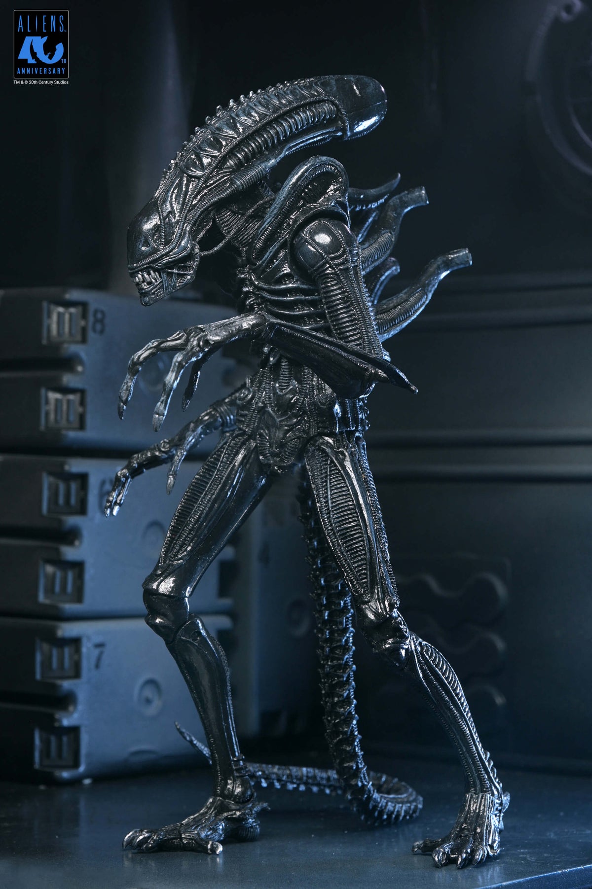 Aliens 40th Anniversary Ultimate Xenomorph Warrior NECA Figure — Front View Stalking Pose