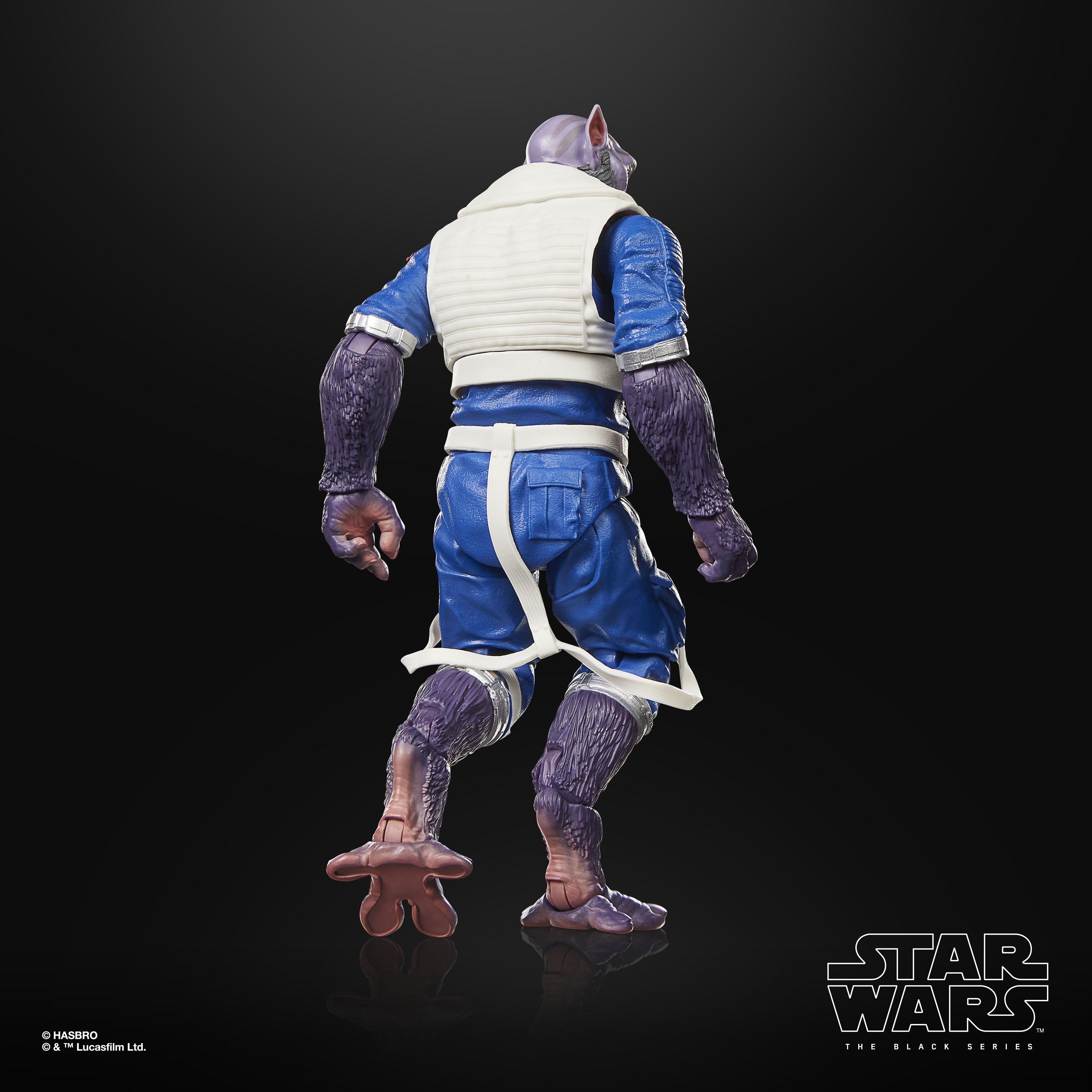 Zeb Orrelios Black Series 6-Inch Deluxe Figure — Back View Showing Pilot Vest and Harness Detail