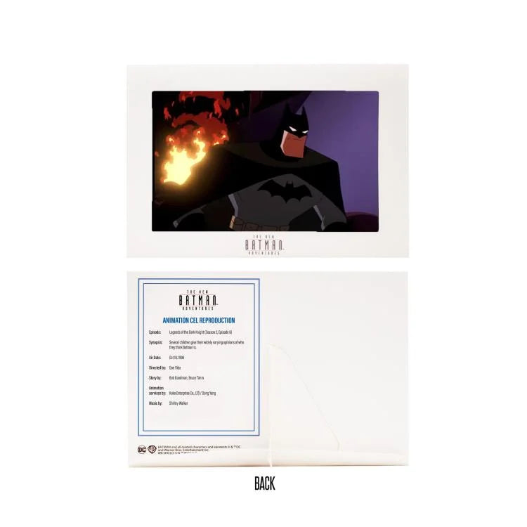 Batman The New Batman Adventures Action Figure