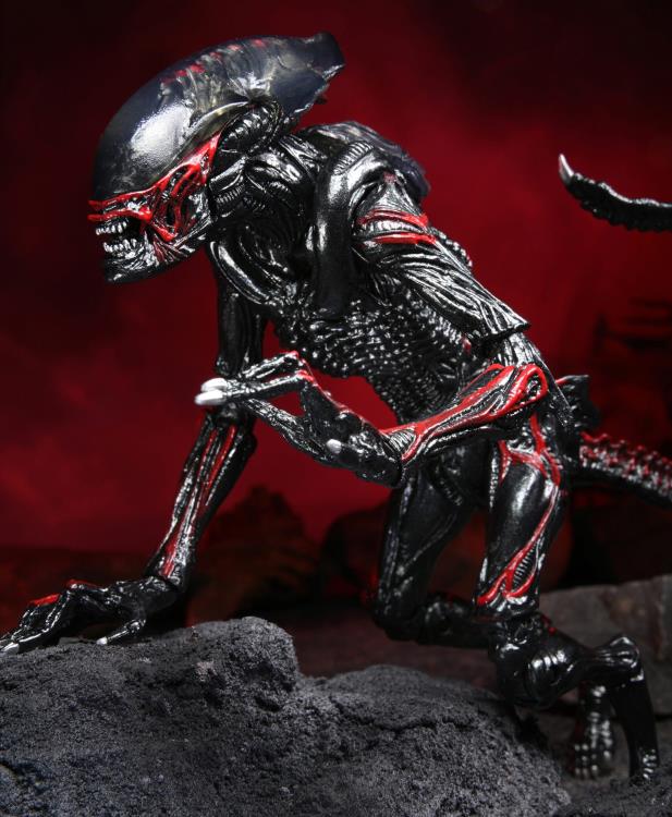 Aliens Kenner Tribute - Night Cougar Alien