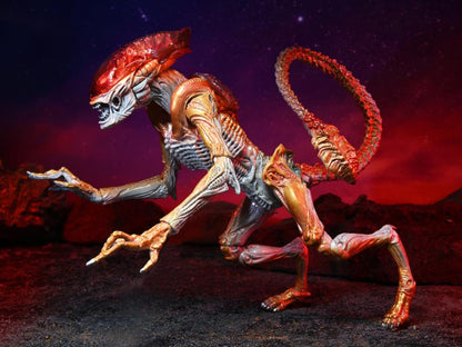 Aliens Kenner Tribute - Panther Alien