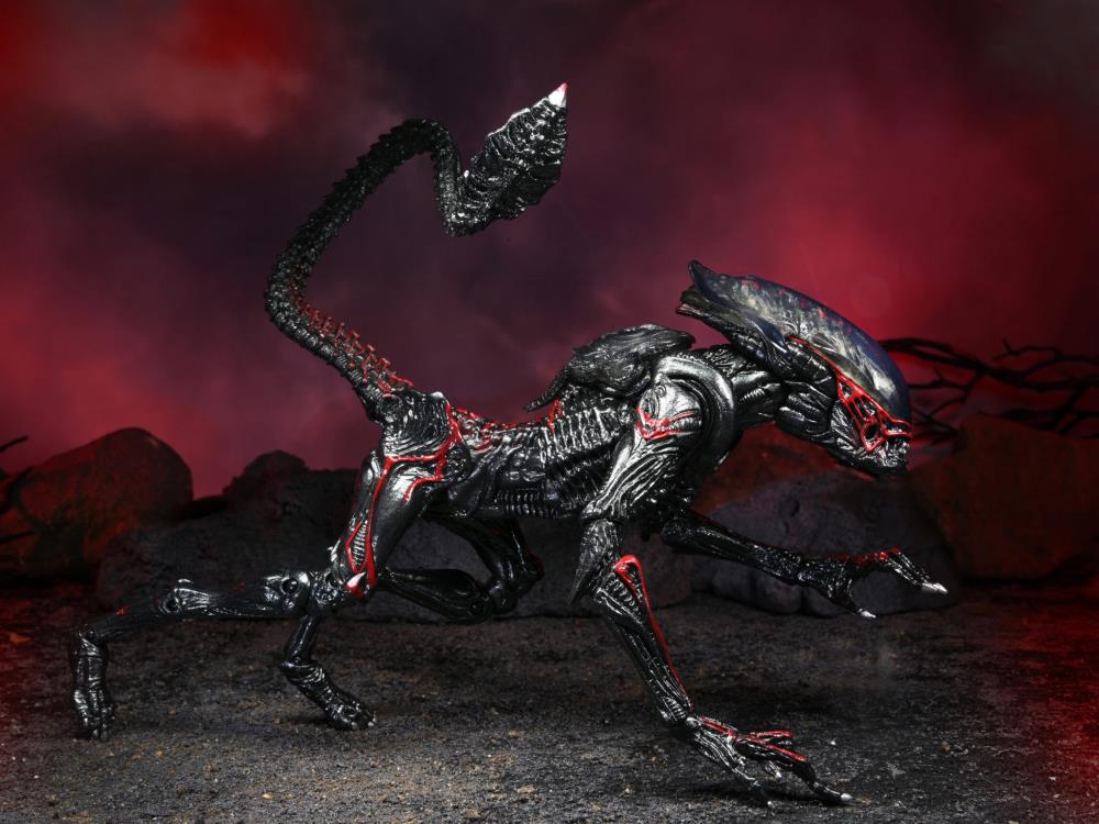 Aliens Kenner Tribute - Night Cougar Alien