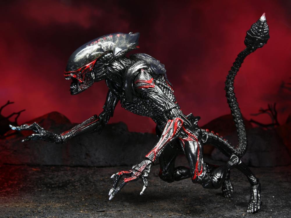 Aliens Kenner Tribute - Night Cougar Alien