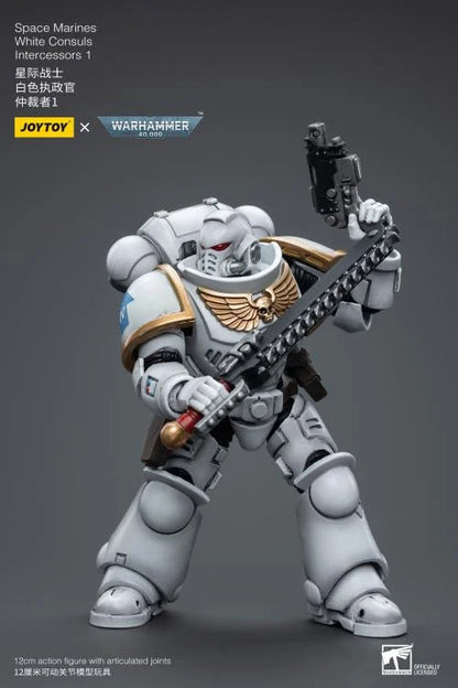 JOYTOY Warhammer 40k - Space Marines White Consuls Intercessors 1