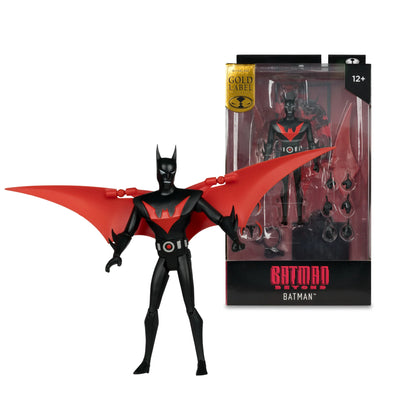 DC Multiverse - Batman Beyond (Animated Series)