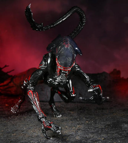 Aliens Kenner Tribute - Night Cougar Alien