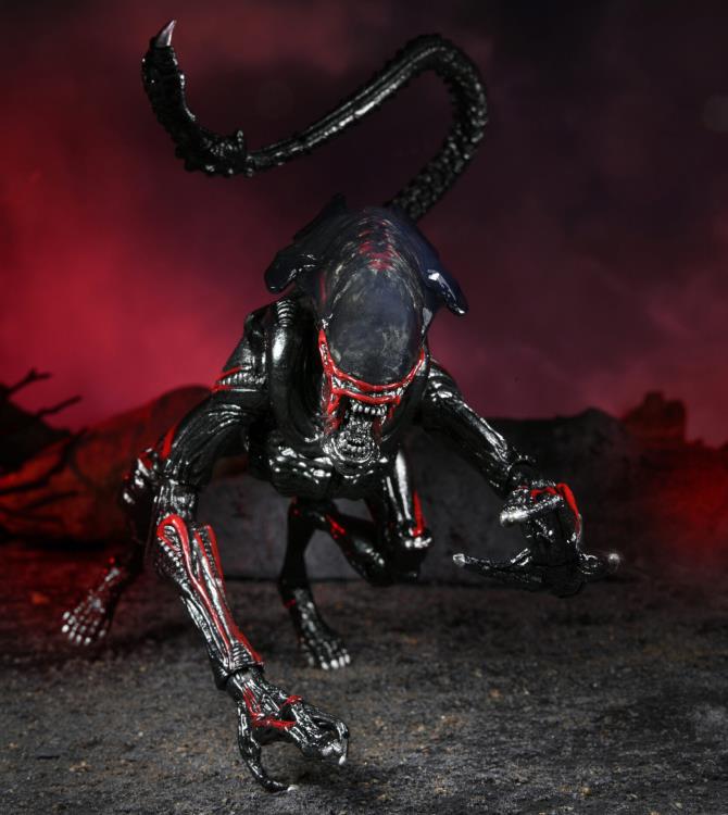 Aliens Kenner Tribute - Night Cougar Alien