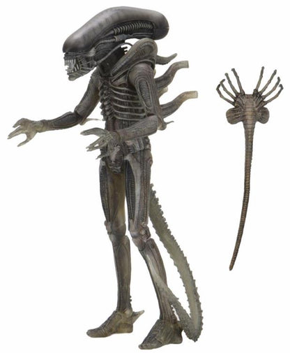 Alien 40th Anniversary - Giger's Alien