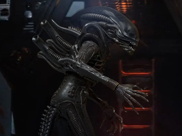 Alien One:12 Collective - Alien