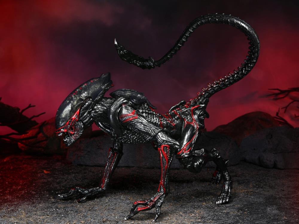 Aliens Kenner Tribute - Night Cougar Alien