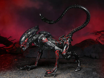 Aliens Kenner Tribute - Night Cougar Alien