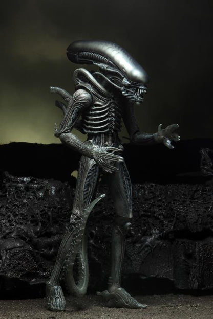 Alien 40th Anniversary - Giger's Alien