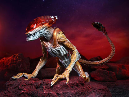 Aliens Kenner Tribute - Panther Alien