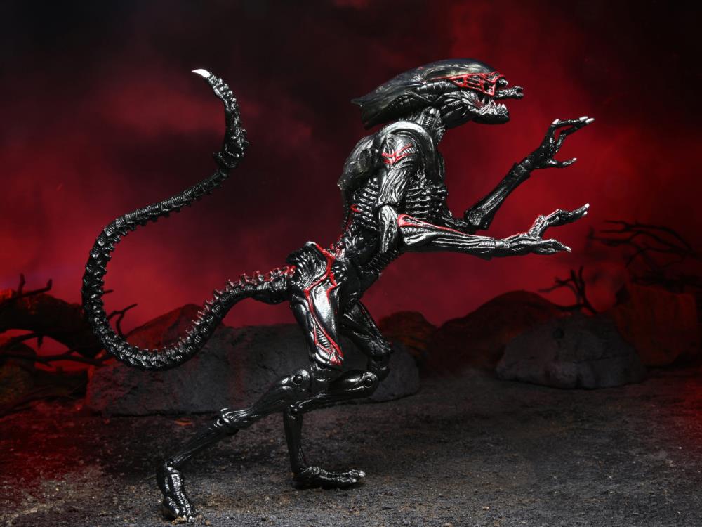 Aliens Kenner Tribute - Night Cougar Alien
