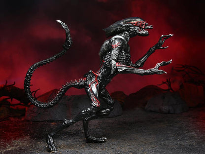 Aliens Kenner Tribute - Night Cougar Alien