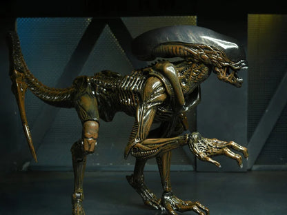 Aliens: Fireteam Elite - Runner Alien Action Figure