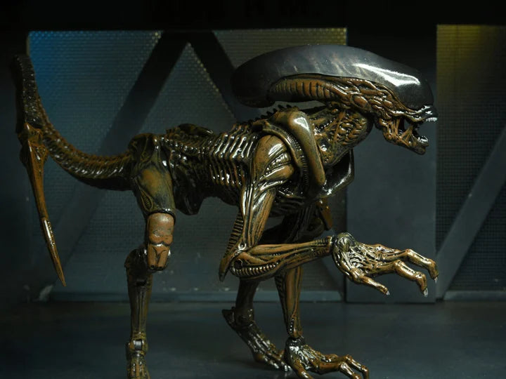 Aliens: Fireteam Elite - Runner Alien Action Figure