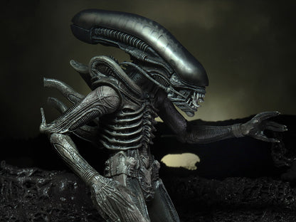 Alien 40th Anniversary - Giger's Alien