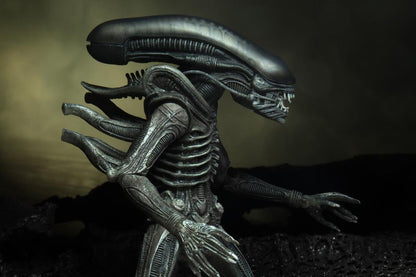 Alien 40th Anniversary - Giger's Alien