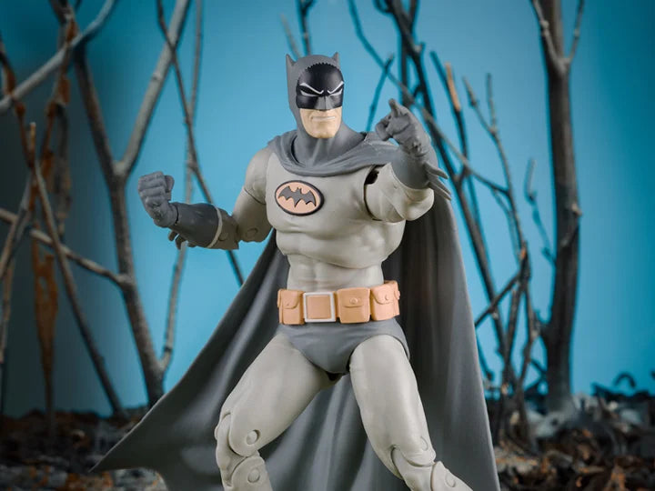 DC Multiverse - 