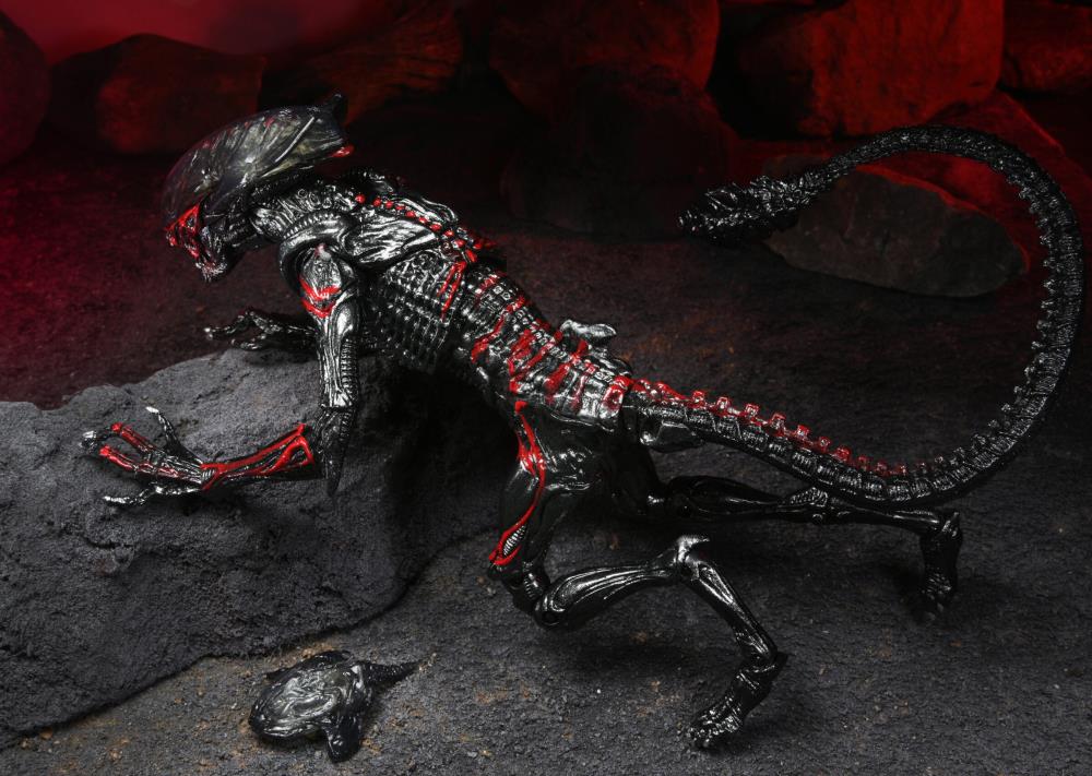 Aliens Kenner Tribute - Night Cougar Alien