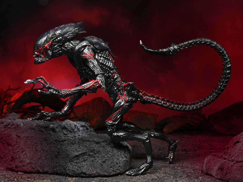Aliens Kenner Tribute - Night Cougar Alien