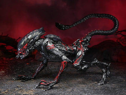 Aliens Kenner Tribute - Night Cougar Alien