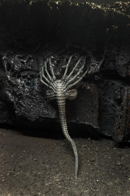 Alien 40th Anniversary - Giger's Alien