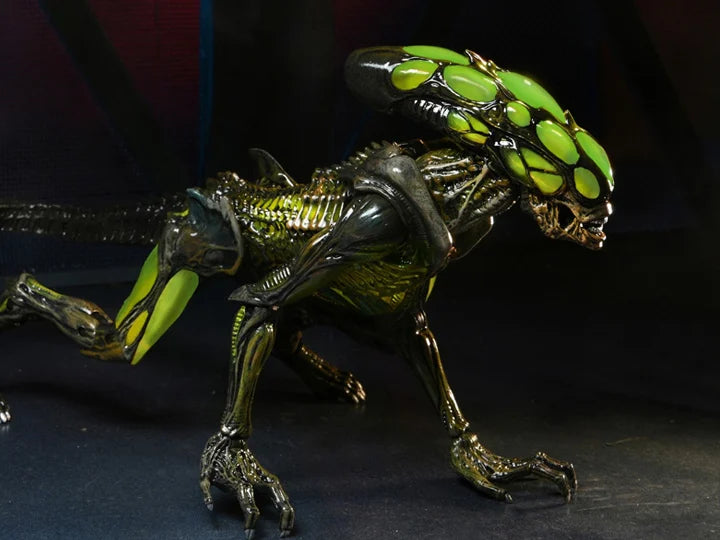 Aliens: Fireteam Elite - Burster Alien