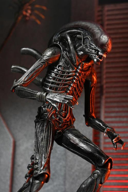 Alien: Romulus NECA Ultimate Xenomorph XX121 Action Figure