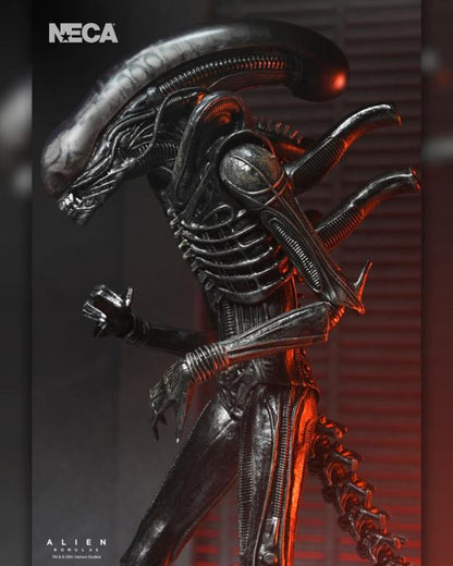 Alien: Romulus NECA Ultimate Xenomorph XX121 Action Figure