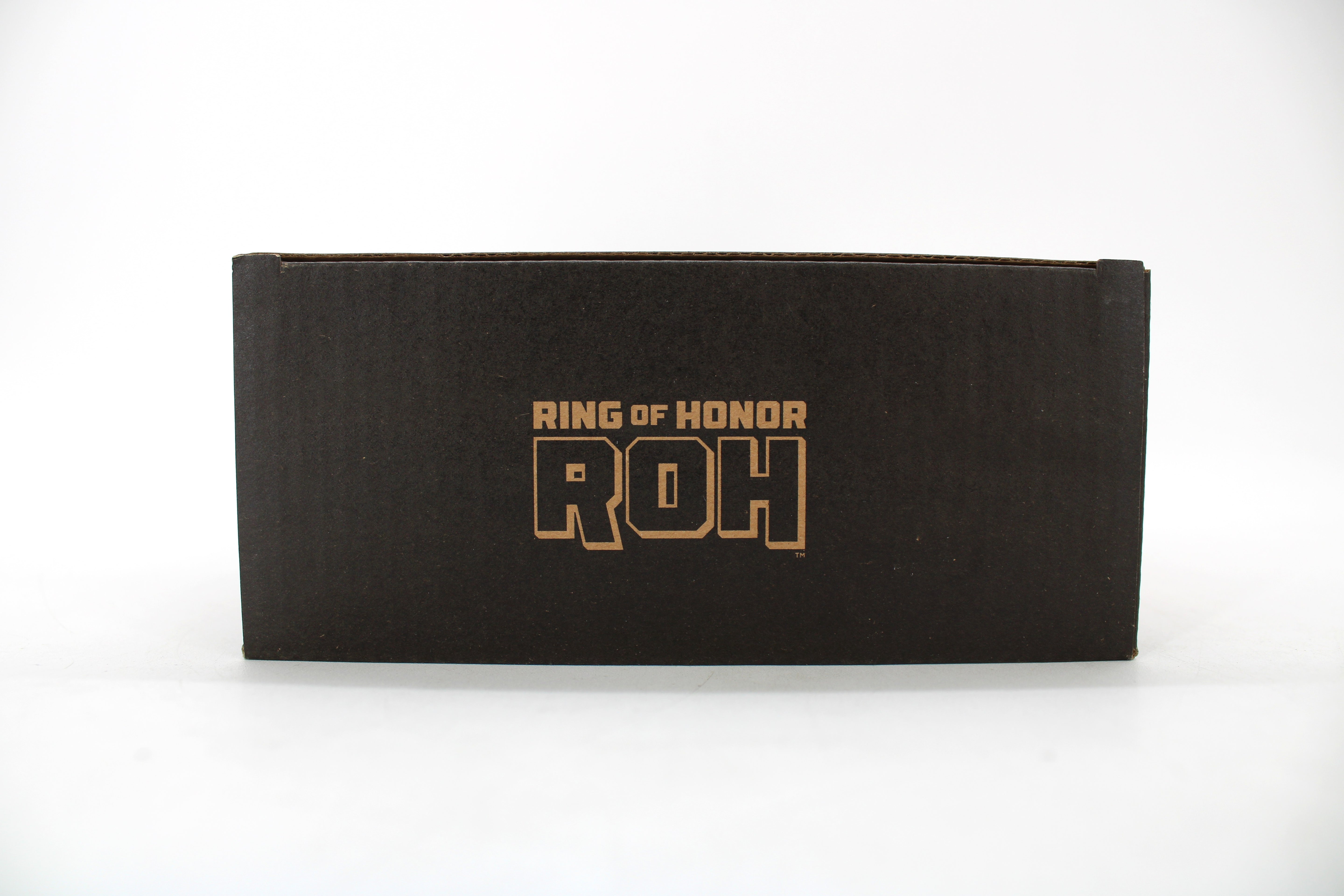 Ring of Honor ROH Brodie Lee Action Figure (2024 Jazwares) - view 16