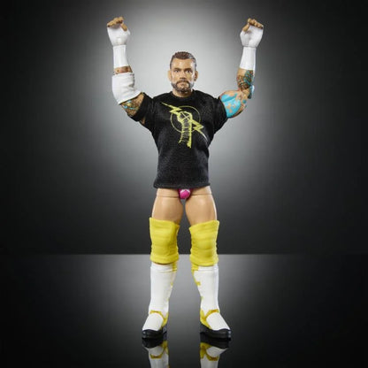 CM Punk - WWE Elite Collection Series 113 Action Figure