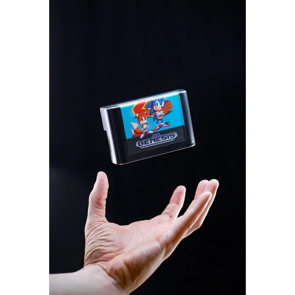 Console Heroes Sega Genesis Sonic the Hedgehog 2 Cartridge Diorama Playset