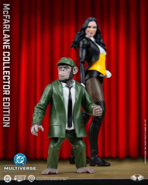 Zatanna DC Multiverse 7-Inch Action Figure Set – Jay's Toys And Games