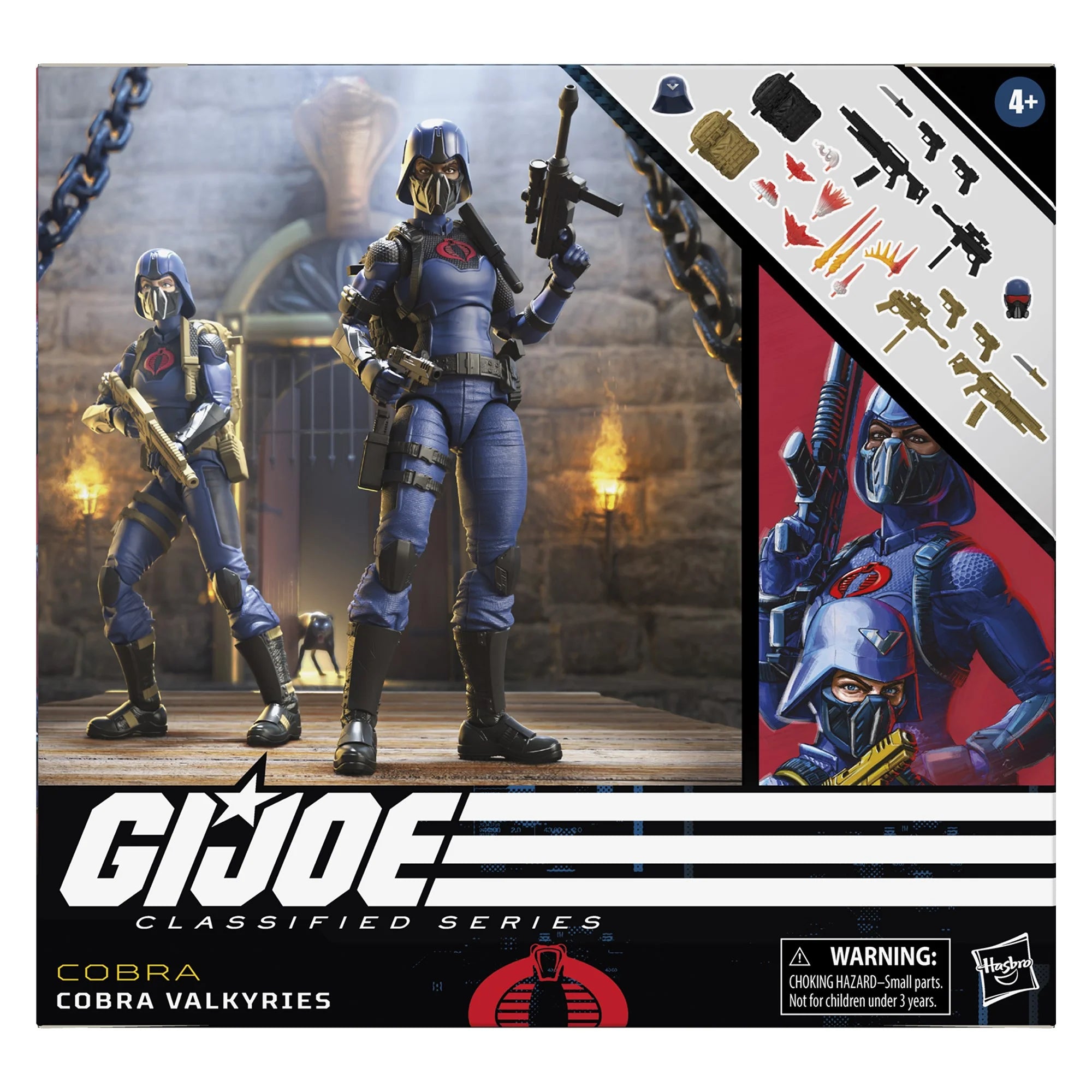 Cobra Valkyries G.I. Joe Classified Series