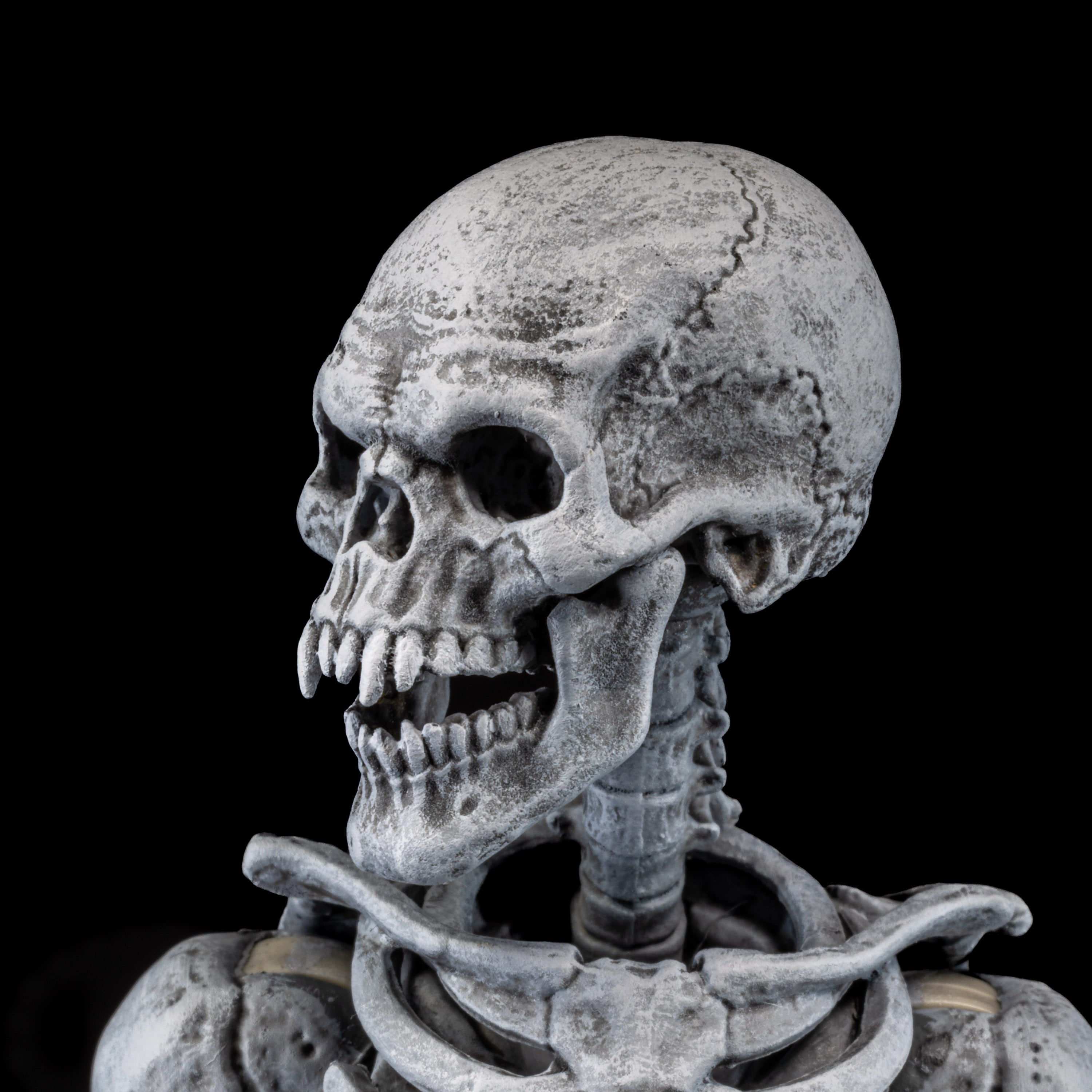 Mythic Legions: Graveyard Skeletons Action Figure 4-Pack