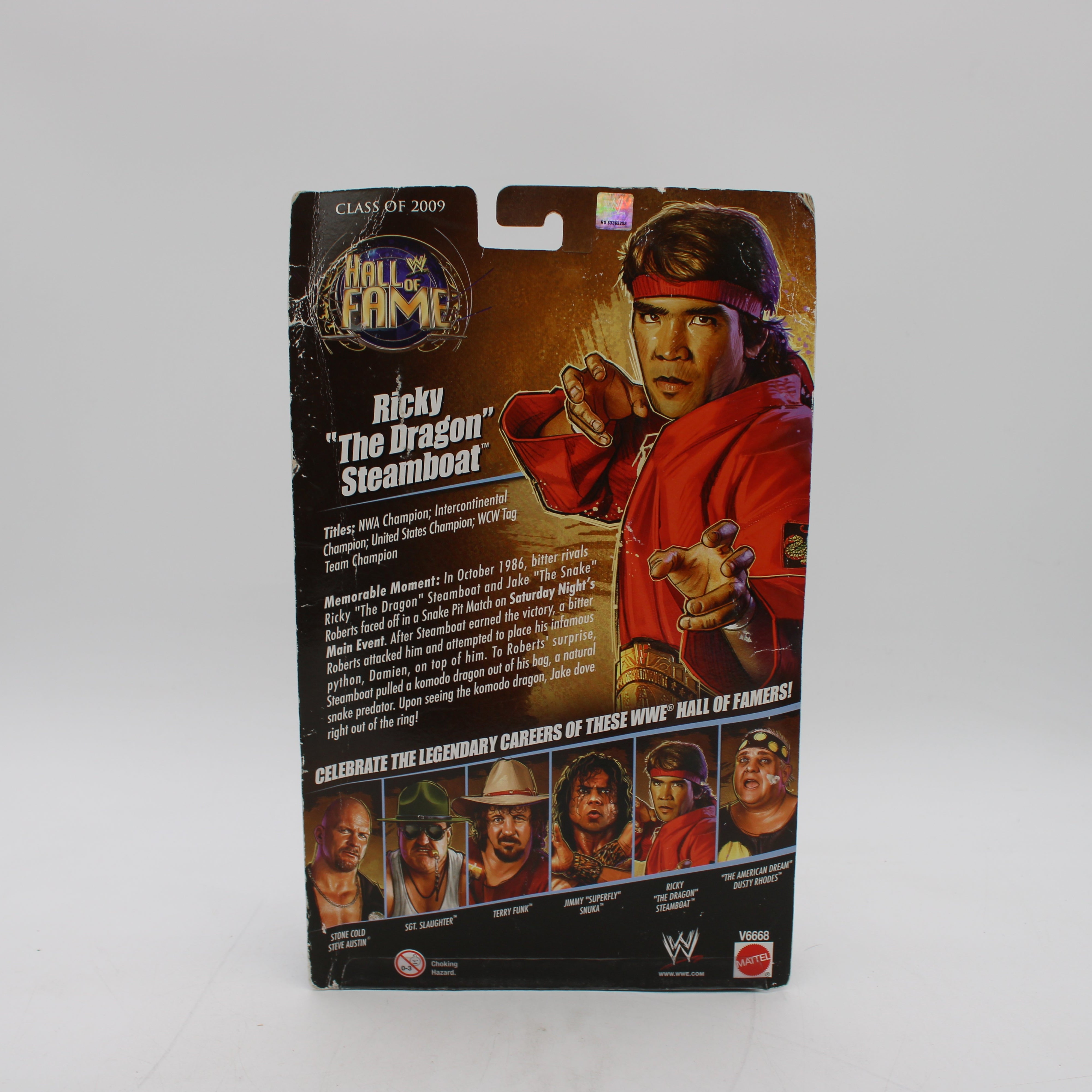 WWE Ricky 'The Dragon' Steamboat action figure in packaging on a white background