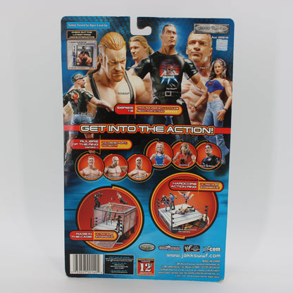Lita Silver Edition WWF Series 13 Action Figure