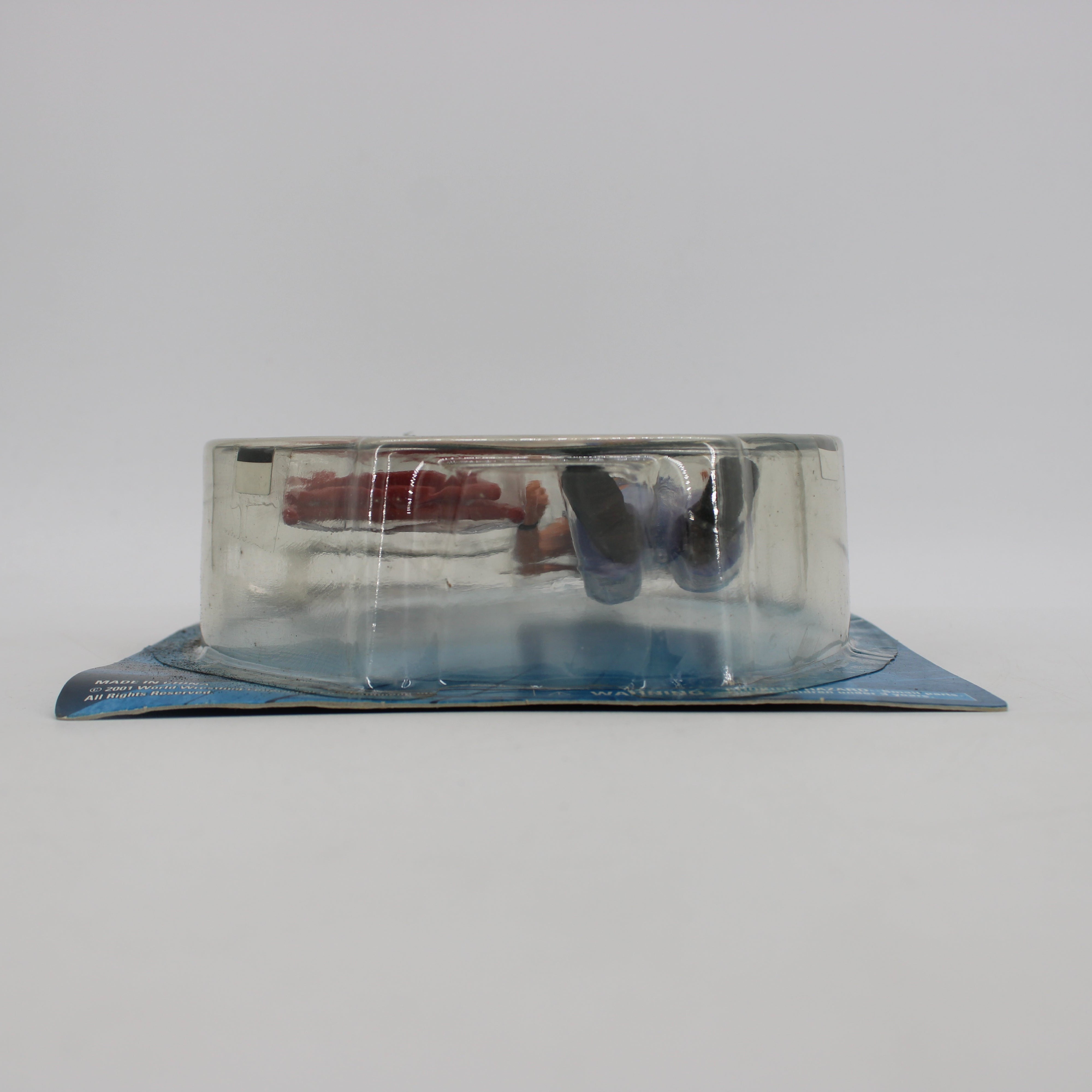 Lita Silver Edition WWF Series 13 Action Figure